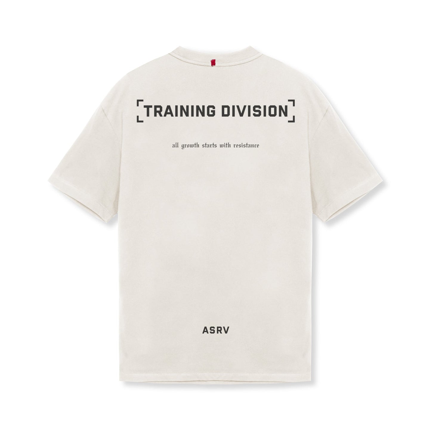 0797. Tech Essential™ Relaxed Tee Stone "TD" | ASRV for sale