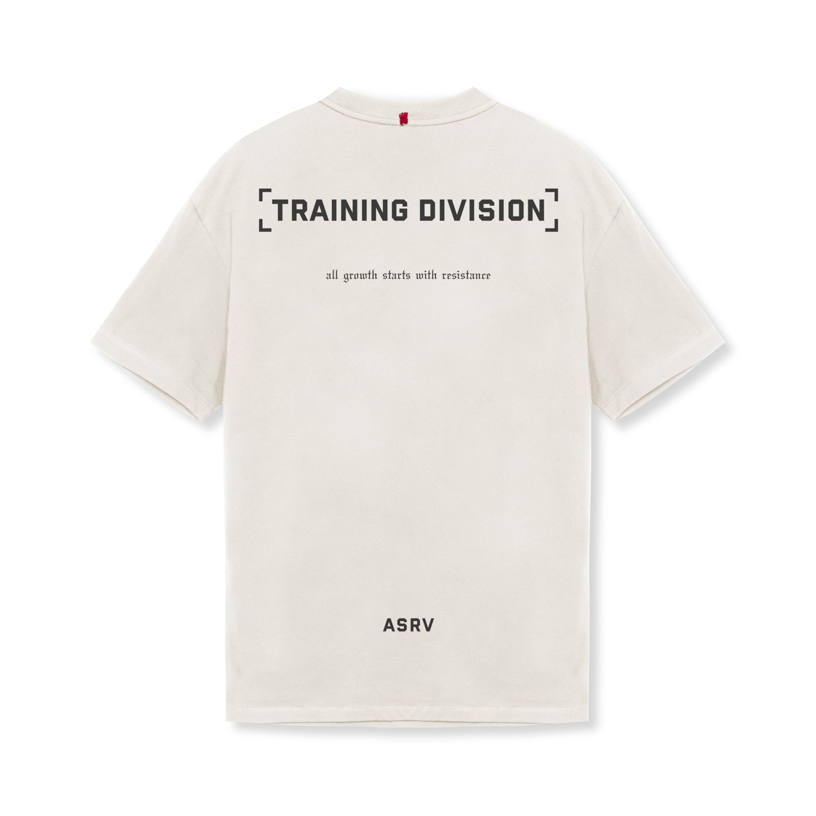 0797. Tech Essential™ Relaxed Tee Stone "TD" | ASRV for sale